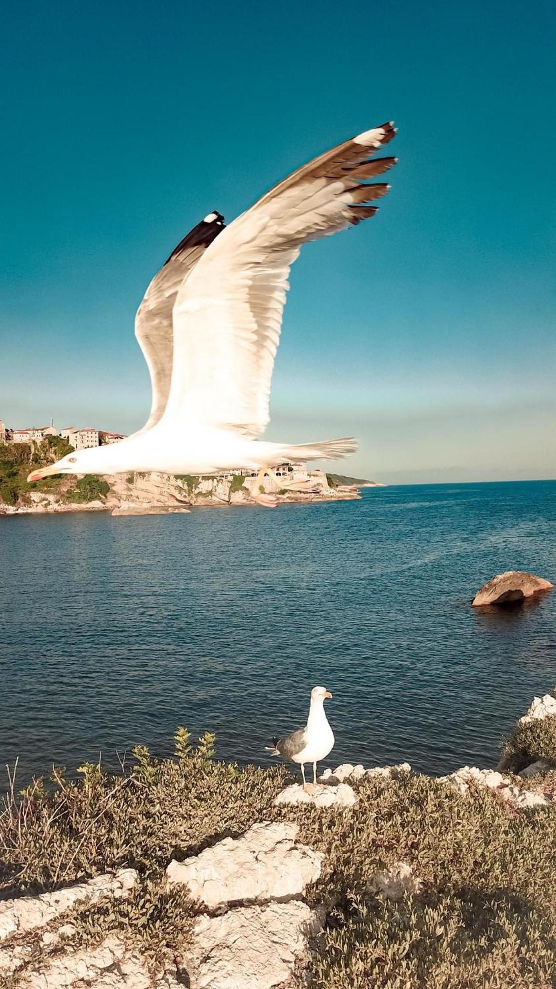 Apartments Contessa Ulcinj Zewnętrze zdjęcie